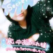 ヒメ日記 2025/12/19 23:51 投稿 うた 西東京市小平ちゃんこ