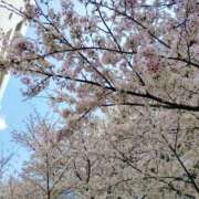 ヒメ日記 2026/03/29 14:20 投稿 うた 西東京市小平ちゃんこ