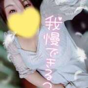 ヒメ日記 2026/03/30 16:08 投稿 うた 西東京市小平ちゃんこ