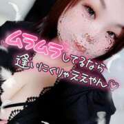 ヒメ日記 2026/04/16 19:03 投稿 うた 西東京市小平ちゃんこ