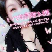 ヒメ日記 2026/04/19 19:14 投稿 うた 西東京市小平ちゃんこ