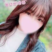 ヒメ日記 2025/11/27 12:23 投稿 みれい 横浜モンデミーテ（シンデレラグループ）