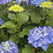 ヒメ日記 2025/06/08 12:20 投稿 いつき 奥鉄オクテツ東京店（デリヘル市場）