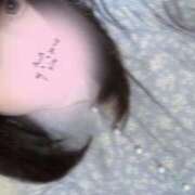 あんこ 出勤しました！ 西東京市小平ちゃんこ