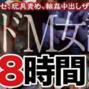 ヒメ日記 2026/03/23 12:40 投稿 かもめ 奥鉄オクテツ奈良