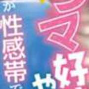ヒメ日記 2026/09/01 14:05 投稿 かもめ 奥鉄オクテツ奈良