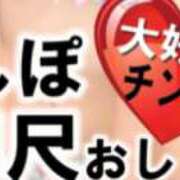 かもめ たっぷり食べさせていただきありがとうございました❤️ 奥鉄オクテツ奈良