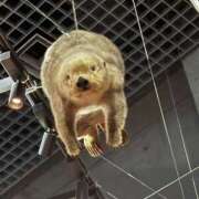 ヒメ日記 2025/06/21 01:58 投稿 むに クラブハート