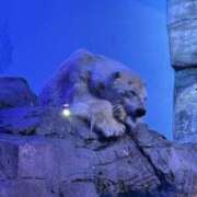 ヒメ日記 2025/07/13 23:58 投稿 むに クラブハート