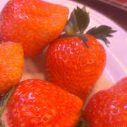 ヒメ日記 2025/09/30 15:08 投稿 むに クラブハート