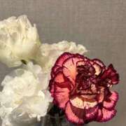 むに しゅっきんちゅ クラブハート