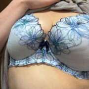 ヒメ日記 2025/06/07 11:19 投稿 柊月帆 プレジデントハウス