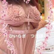 ヒメ日記 2025/07/12 18:39 投稿 柊月帆 プレジデントハウス