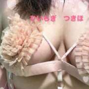 ヒメ日記 2025/07/24 10:13 投稿 柊月帆 プレジデントハウス