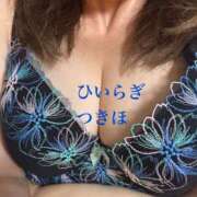 ヒメ日記 2025/10/24 10:43 投稿 柊月帆 プレジデントハウス