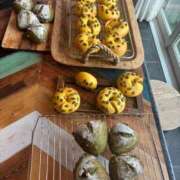 ヒメ日記 2025/11/08 11:01 投稿 柊月帆 プレジデントハウス