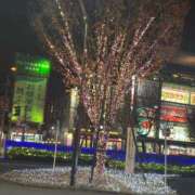 柊月帆 イルミネーション プレジデントハウス