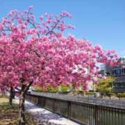 ヒメ日記 2026/03/02 11:56 投稿 柊月帆 プレジデントハウス