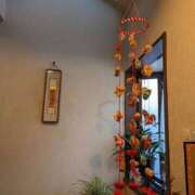 ヒメ日記 2026/03/04 08:45 投稿 柊月帆 プレジデントハウス