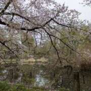 ヒメ日記 2026/04/06 09:27 投稿 柊月帆 プレジデントハウス