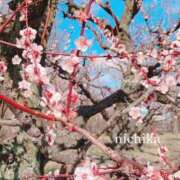 ヒメ日記 2026/03/22 11:59 投稿 『にちか』 ESSENCE