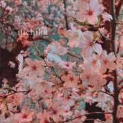 ヒメ日記 2026/03/29 21:34 投稿 『にちか』 ESSENCE