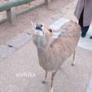 ヒメ日記 2026/04/10 19:45 投稿 『にちか』 ESSENCE