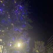 ヒメ日記 2025/12/15 10:28 投稿 さな 岐阜岐南各務原ちゃんこ