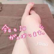 ヒメ日記 2025/08/04 15:20 投稿 ゆの リッチドールパート2梅田店