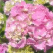 ヒメ日記 2025/06/05 05:49 投稿 あめ G-SCANDAL