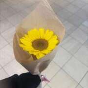 ヒメ日記 2025/08/29 16:19 投稿 あめ G-SCANDAL