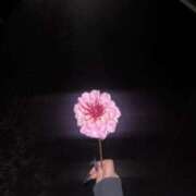 ヒメ日記 2025/10/23 17:29 投稿 あめ G-SCANDAL