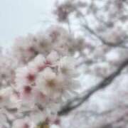 ヒメ日記 2026/04/04 22:09 投稿 あめ G-SCANDAL