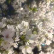 あめ ちゅ///🩷 G-SCANDAL