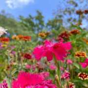 ヒメ日記 2025/07/31 21:07 投稿 まひろ しろうとCollection