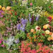 ヒメ日記 2025/09/23 22:07 投稿 まひろ しろうとCollection