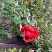 ヒメ日記 2025/09/23 22:12 投稿 まひろ しろうとCollection