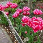 ヒメ日記 2025/09/26 16:07 投稿 まひろ しろうとCollection