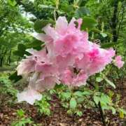 ヒメ日記 2025/09/27 01:37 投稿 まひろ しろうとCollection