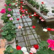 ヒメ日記 2025/09/27 21:47 投稿 まひろ しろうとCollection