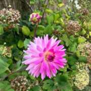 ヒメ日記 2025/09/28 20:45 投稿 まひろ しろうとCollection