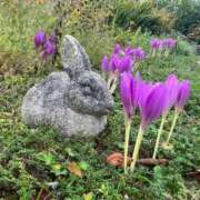 ヒメ日記 2025/10/04 22:55 投稿 まひろ しろうとCollection