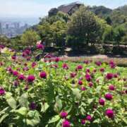 ヒメ日記 2025/10/04 23:00 投稿 まひろ しろうとCollection