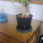 ヒメ日記 2025/07/13 00:20 投稿 べに 熟女の風俗最終章 蒲田店