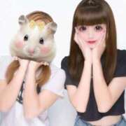 ヒメ日記 2025/09/21 19:32 投稿 みけ 搾精委員会