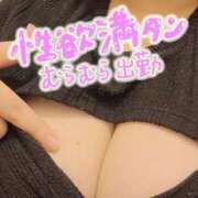 ヒメ日記 2025/05/29 16:07 投稿 みや ふわふわコレクション川越店