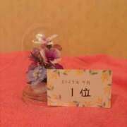 ヒメ日記 2025/10/04 19:53 投稿 つむぎ コスプレアカデミー