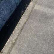 ヒメ日記 2025/08/28 08:44 投稿 羽生円香 五十路マダム富山店(カサブランカグループ)