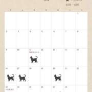 ヒメ日記 2026/01/19 21:12 投稿 ひびき SOAPLAND LOVE FACTORY