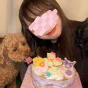 ヒメ日記 2025/08/24 18:05 投稿 東堂 あみな テレジア横浜